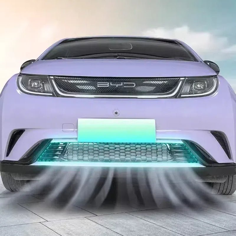 For BYD DOLPHIN Front Bumper Water Tank Pest Control Net - NICE EVS
