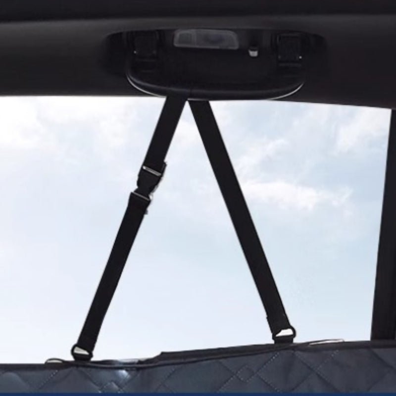For BYD Seal /Seal u/Sealion 6 Pet Dog Car Seat Protector Covers - NICE EVS