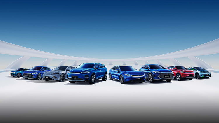 BYD Accessories - NICE EVS