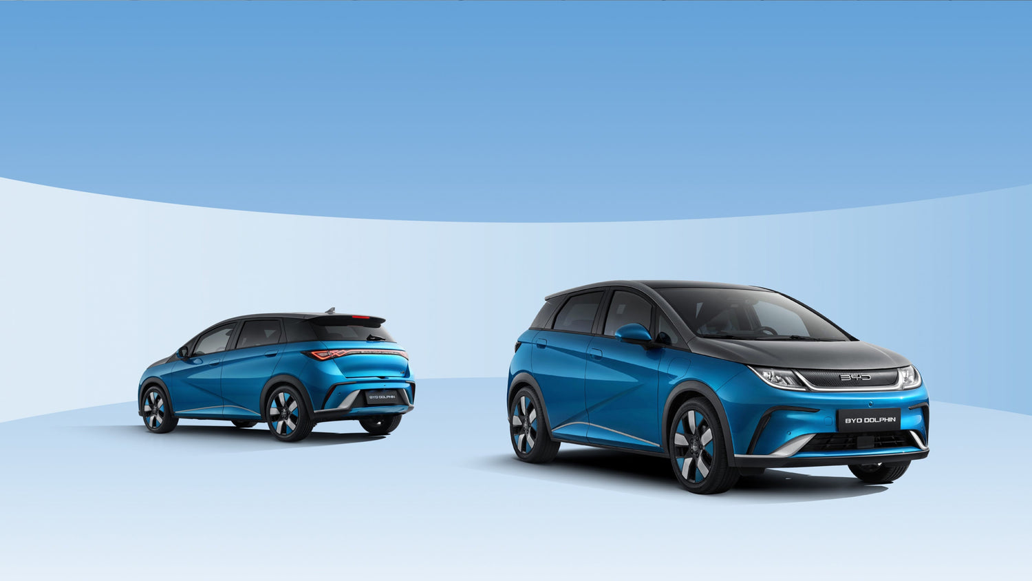 BYD DOLPHIN Accessories - NICE EVS