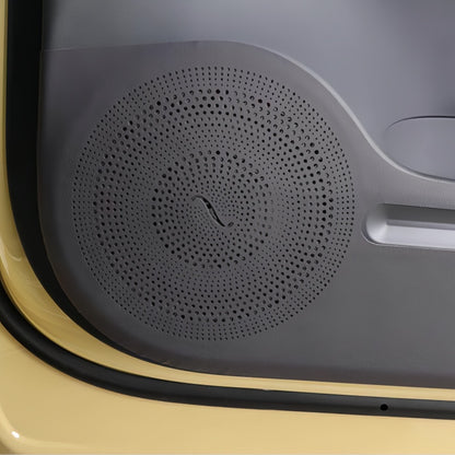 Door Anti-Kick Mat for Leapmotor B05