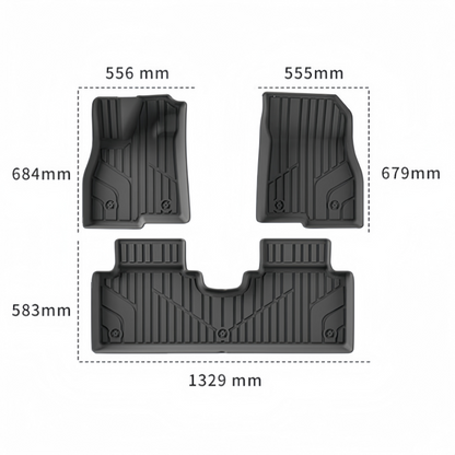 TPE Floor Mats & Trunk Mats for Aion UT