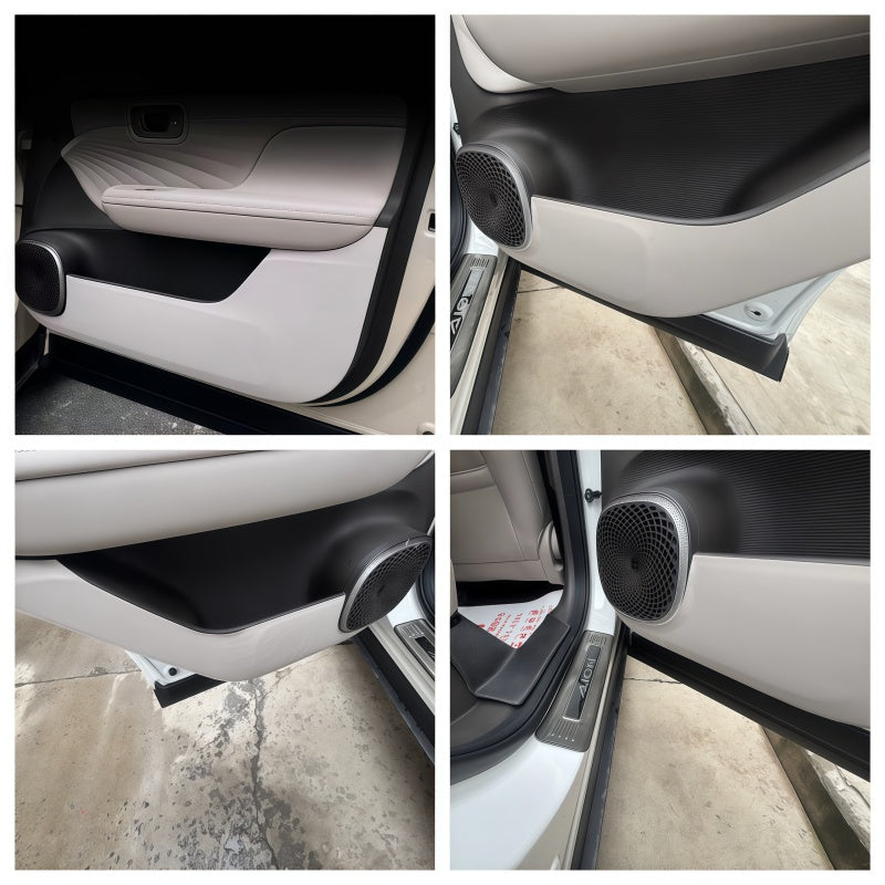 Door Leather Anti-Kick Mats for Aion UT
