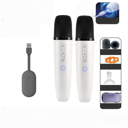 BYD Wireless Microphone Karaoke Mic for BYD - NICE EVS