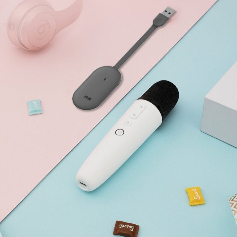 BYD Wireless Microphone Karaoke Mic for BYD - NICE EVS