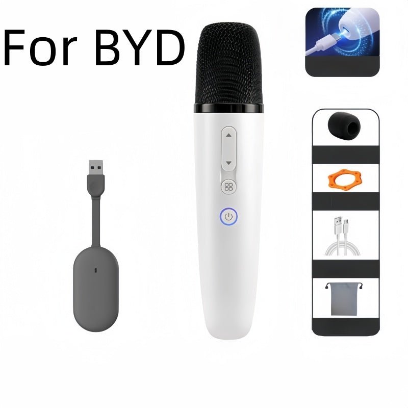 BYD Wireless Microphone Karaoke Mic for BYD - NICE EVS