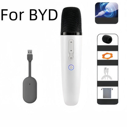 BYD Wireless Microphone Karaoke Mic for BYD - NICE EVS