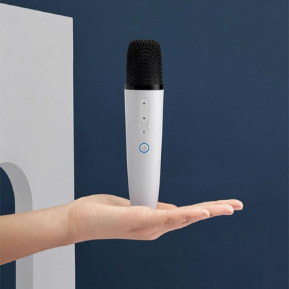 BYD Wireless Microphone Karaoke Mic for BYD - NICE EVS