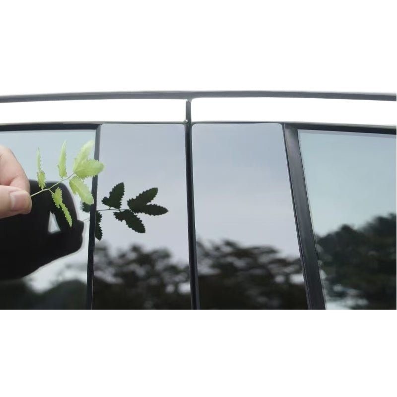 Clear & Smoke Black Pillar Guard for Leapmotor B10/C10/B05 - NICE EVS
