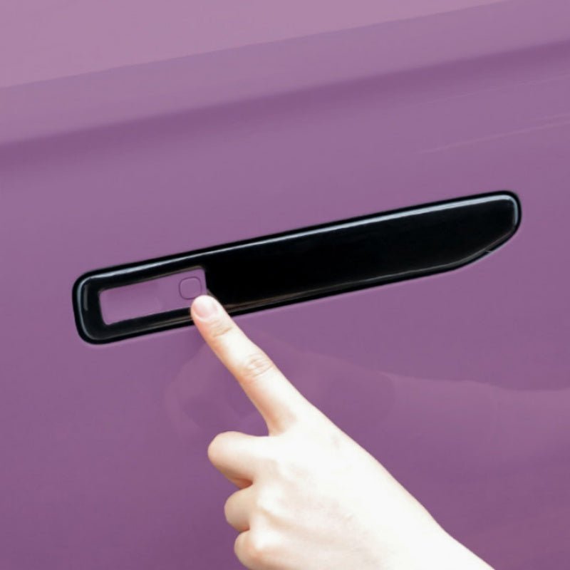 Door Handle Protector Covers for Leapmotor B10 - NICE EVS