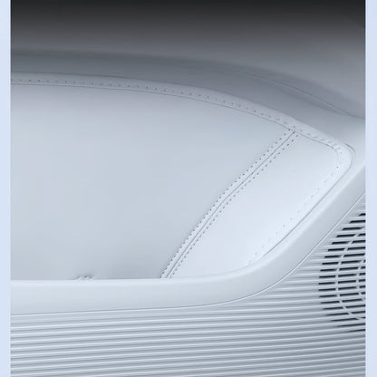 Door Leather Storage Box for Aion UT - NICE EVS