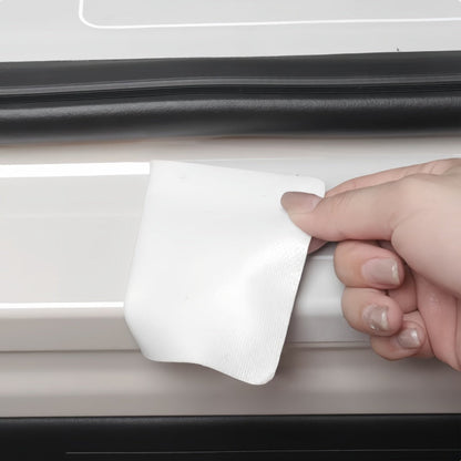 Door Sill Leather Protector for Aion UT - NICE EVS