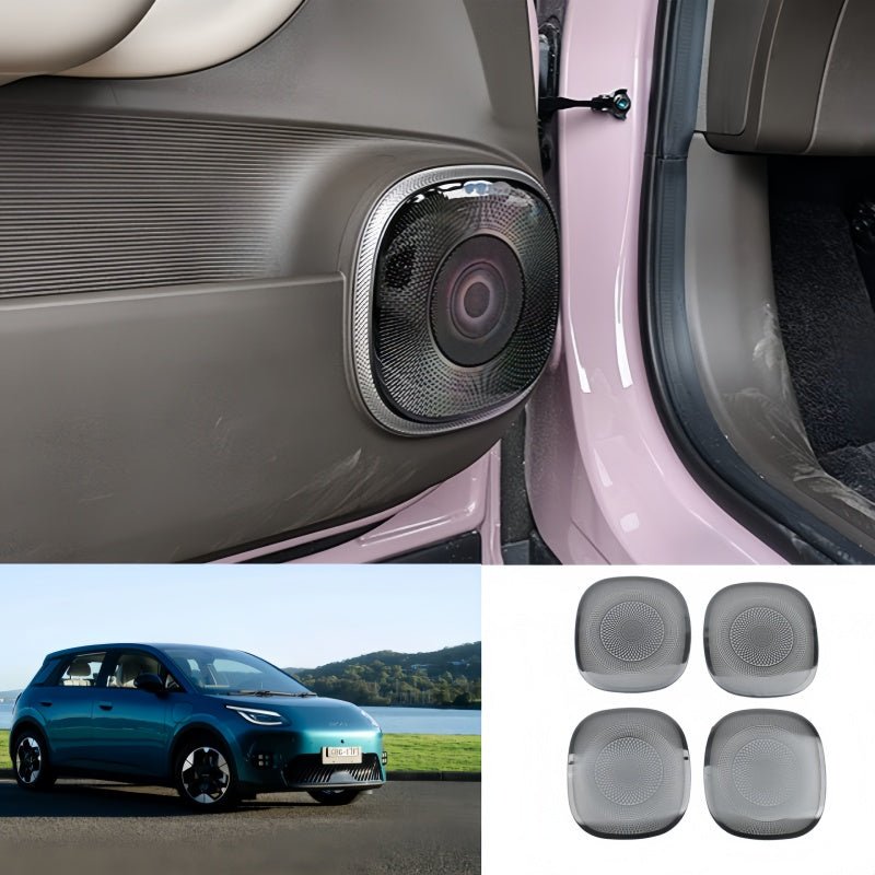 Door Stainless Steel Speaker Cover for Aion UT - NICE EVS