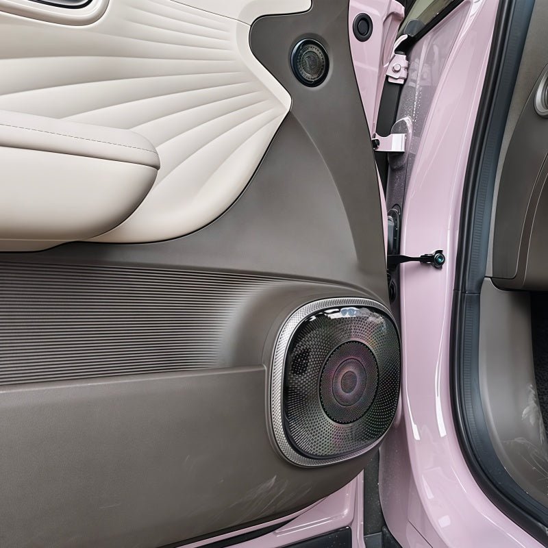 Door Stainless Steel Speaker Cover for Aion UT - NICE EVS