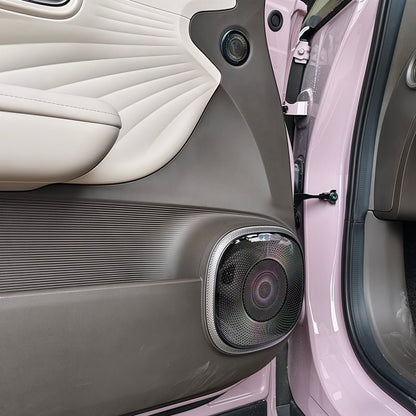 Door Stainless Steel Speaker Cover for Aion UT - NICE EVS