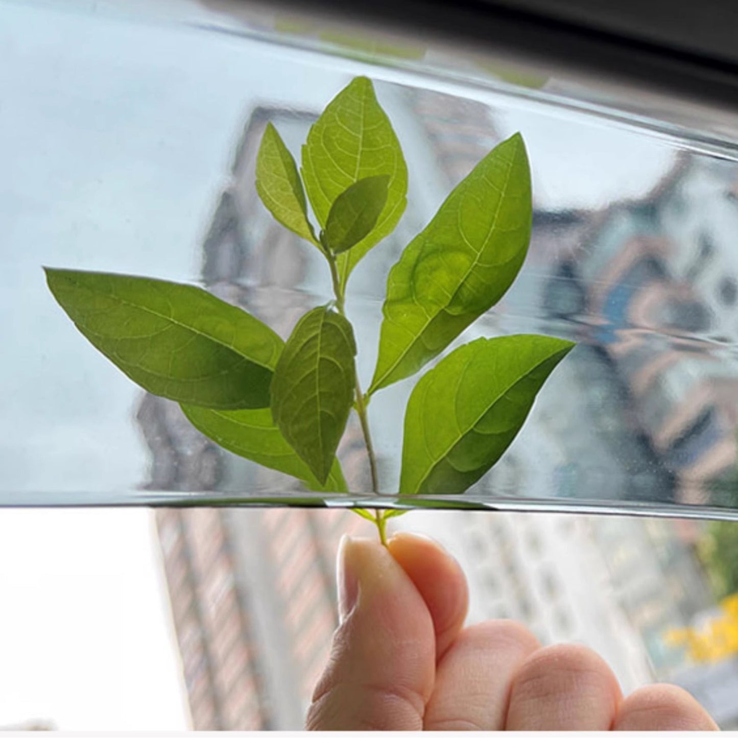 For BYD Atto 3 Deflector Windshield Rain Eyebrow Awning - NICE EVS