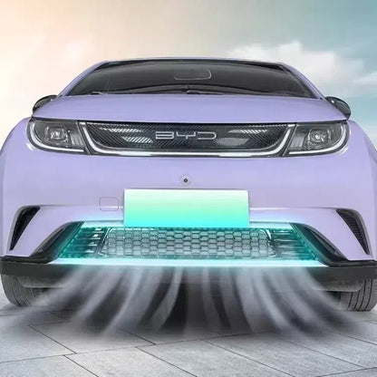 For BYD DOLPHIN Front Bumper Water Tank Pest Control Net - NICE EVS