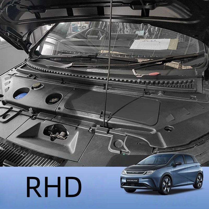 For BYD Dolphin Frunk - NICE EVS