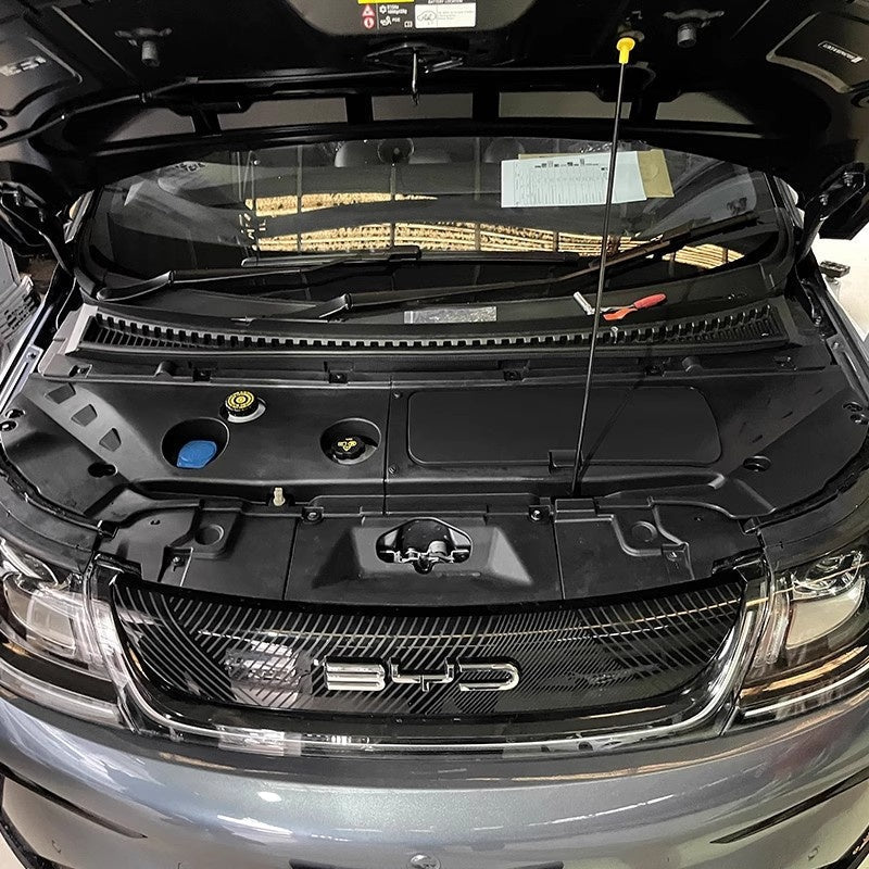 For BYD Dolphin Frunk - NICE EVS