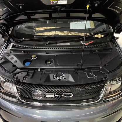 For BYD Dolphin Frunk - NICE EVS
