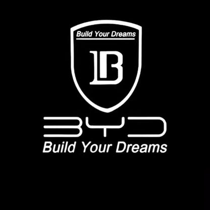 For BYD SEAL Door Decoration Welcome Lights Puddle Light - NICE EVS