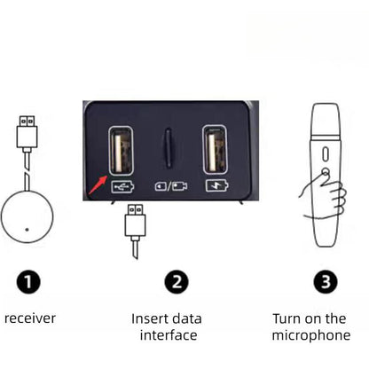 For BYD Wireless Microphone - NICE EVS