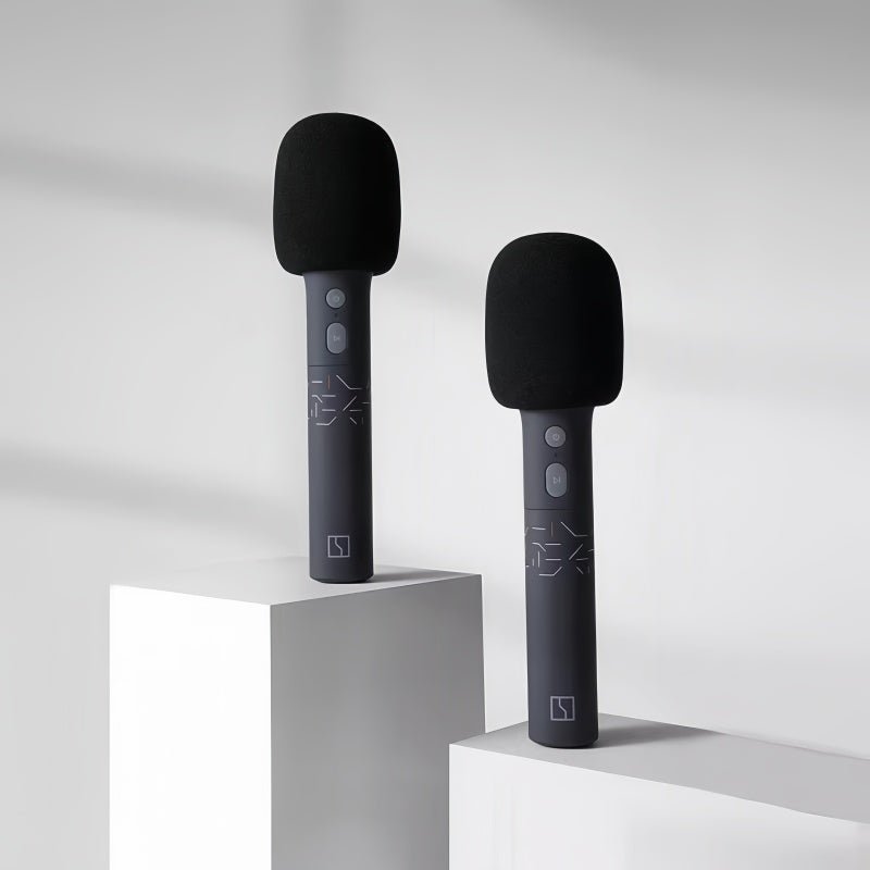 Genuine Zeekr UHF Wireless Microphones (2 - Pack) - NICE EVS