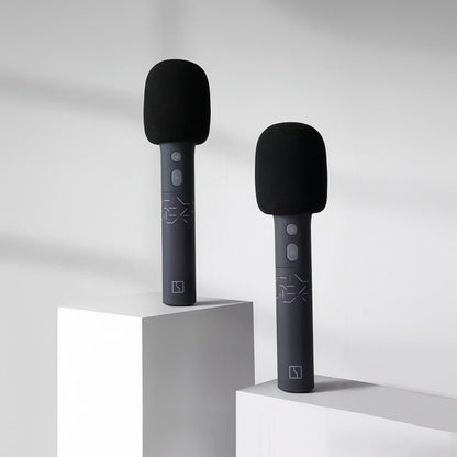 Genuine Zeekr UHF Wireless Microphones (2 - Pack) - NICE EVS