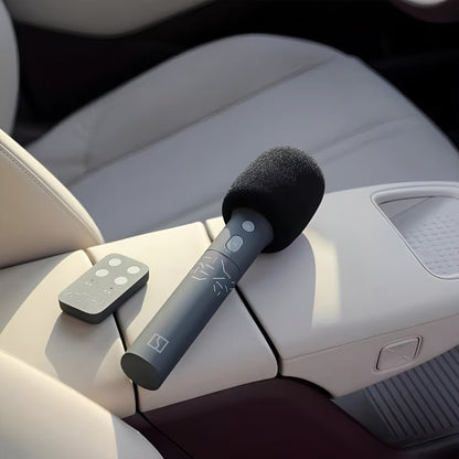 Genuine Zeekr UHF Wireless Microphones (2 - Pack) - NICE EVS