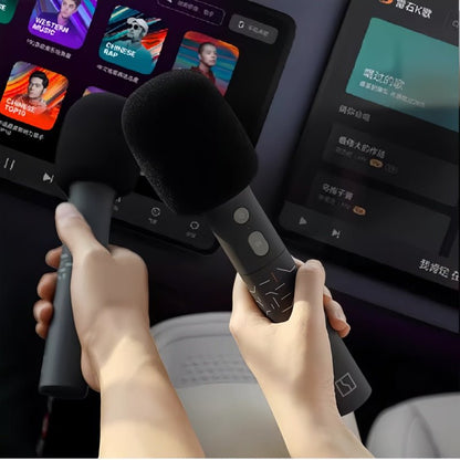 Genuine Zeekr UHF Wireless Microphones (2 - Pack) - NICE EVS