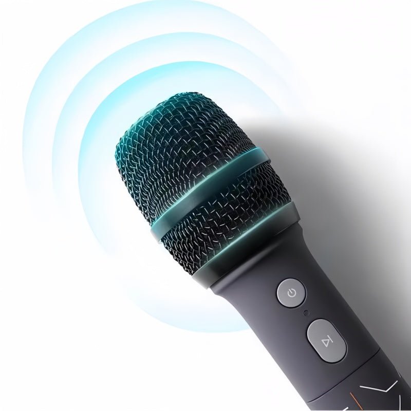 Genuine Zeekr UHF Wireless Microphones (2 - Pack) - NICE EVS