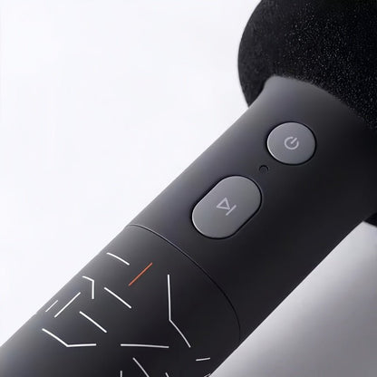 Genuine Zeekr UHF Wireless Microphones (2 - Pack) - NICE EVS