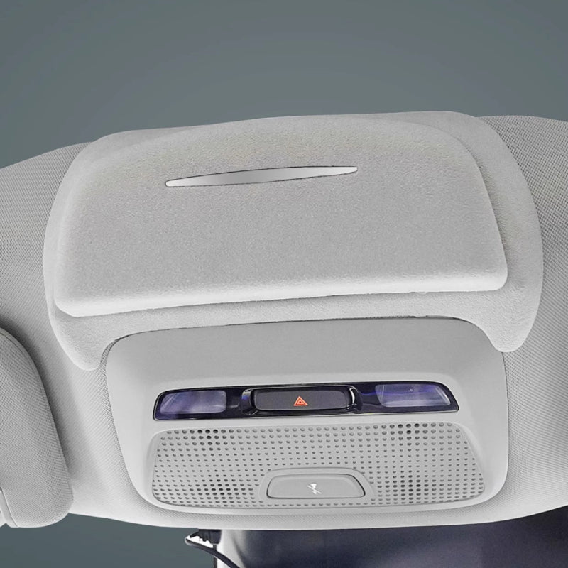 Glasses Case for XPeng G6/P7 - NICE EVS