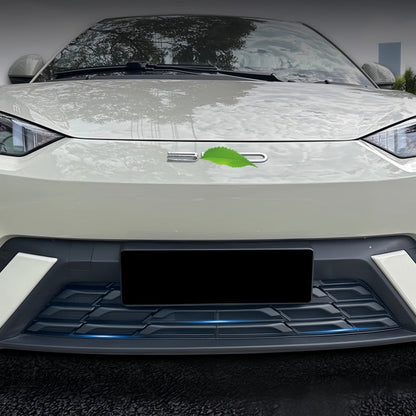 Grille Guard for BYD ATTO 1 - NICE EVS