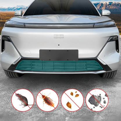 Grille Proof Net for Geely EX5 EM - i / Starray EM - i - NICE EVS