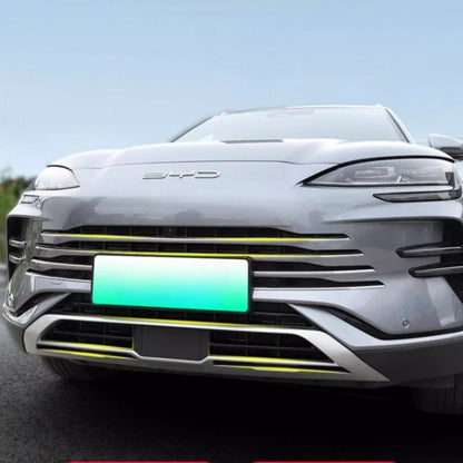 Grille Protection Net for BYD Seal U/Sealion 6 - NICE EVS