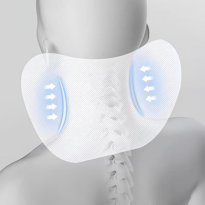 Headrest & Lumbar Support for Zeekr - NICE EVS