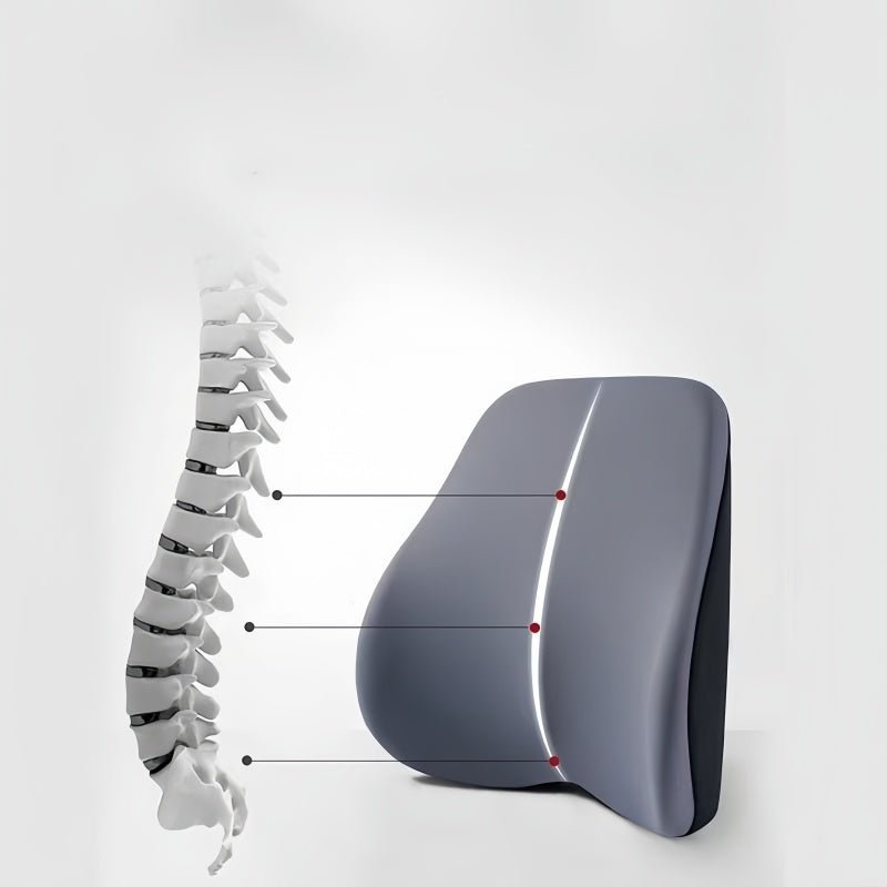 Headrest & Lumbar Support for Zeekr - NICE EVS