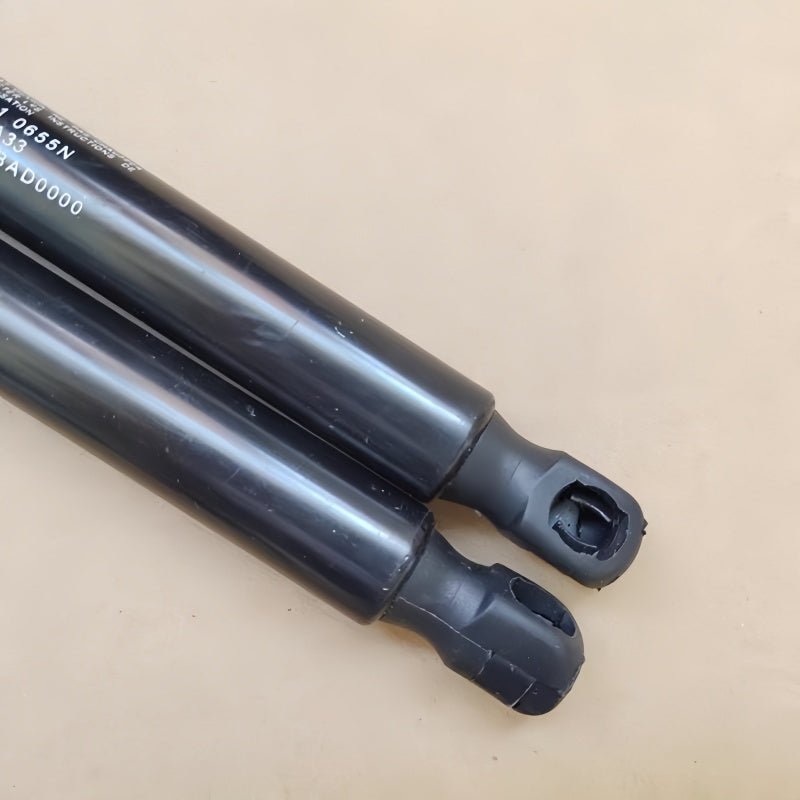 Hood Hydraulic Struts for Leapmotor B10 (Dual Rod) - NICE EVS