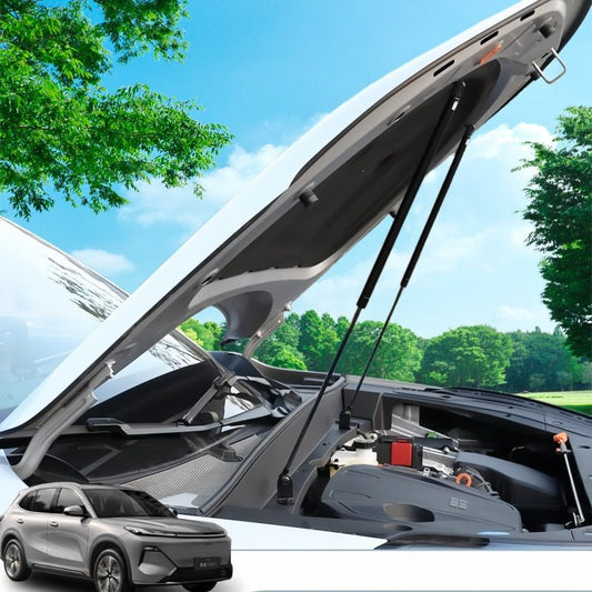 Hood Lift Support Struts for Geely EX5 / EX5 EM - i / Starray EM - i - NICE EVS