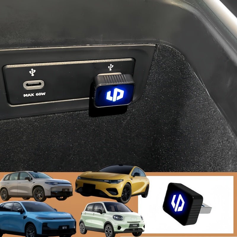 Leapmotor Dash Cam USB Drive for B10 C10 B05 T03 - NICE EVS