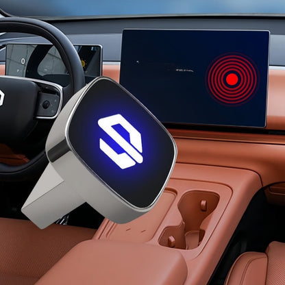 Leapmotor Dash Cam USB Drive for B10 C10 B05 T03 - NICE EVS