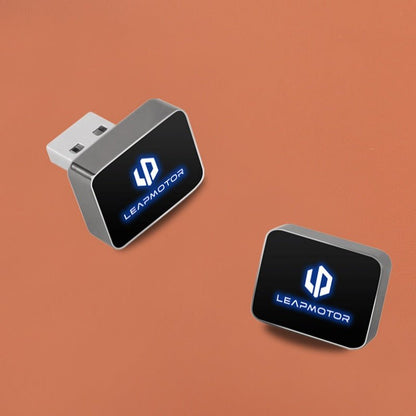 Leapmotor Dash Cam USB Drive for B10 C10 B05 T03 - NICE EVS