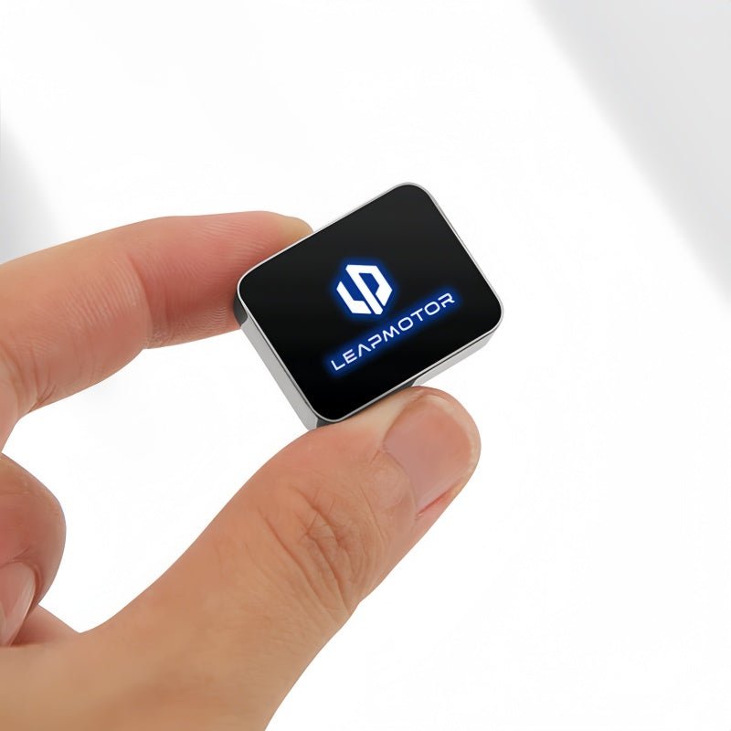 Leapmotor Dash Cam USB Drive for B10 C10 B05 T03 - NICE EVS