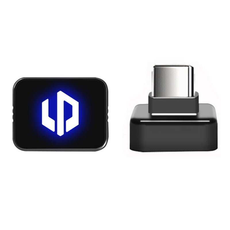 Leapmotor Dash Cam USB Drive for B10 C10 B05 T03 - NICE EVS