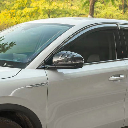 Mirror Protective Cover for BYD (2 Pcs) - NICE EVS