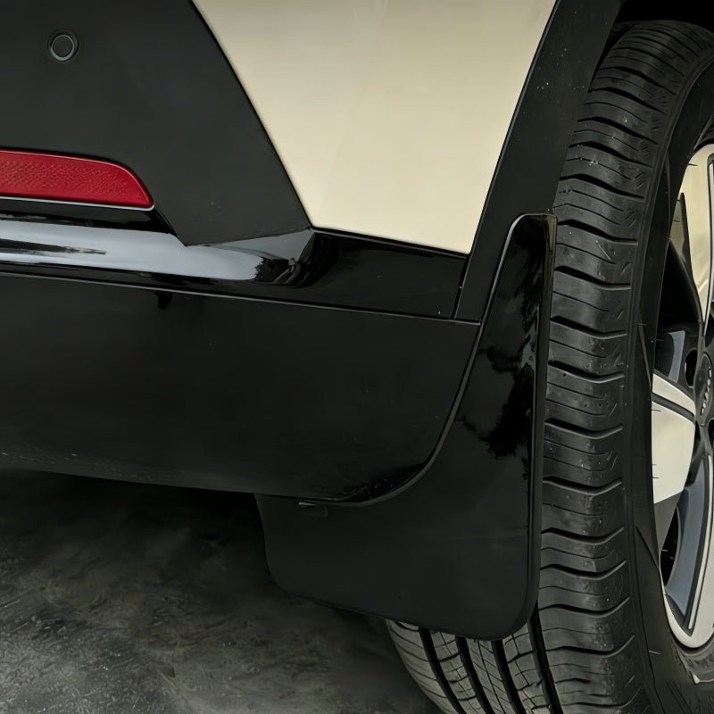 Mud Flaps for Aion UT - NICE EVS