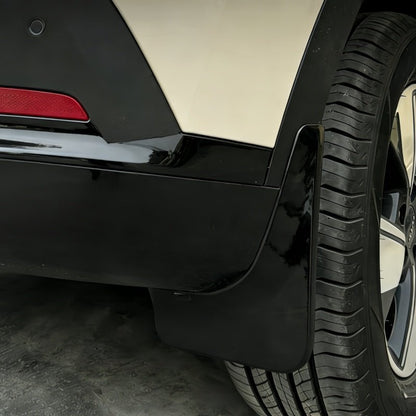 Mud Flaps for Aion UT - NICE EVS