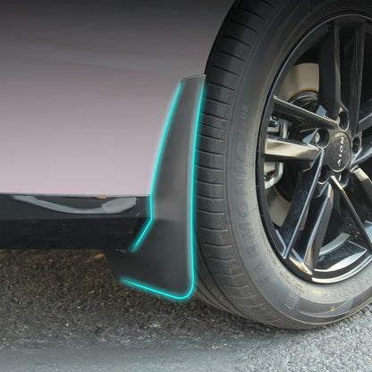 Mud Flaps for Aion V/RT - NICE EVS