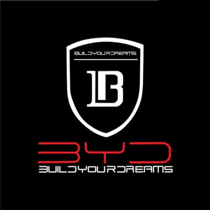 Premium LED Puddle Light for BYD Seal u/Sealion 6 - NICE EVS